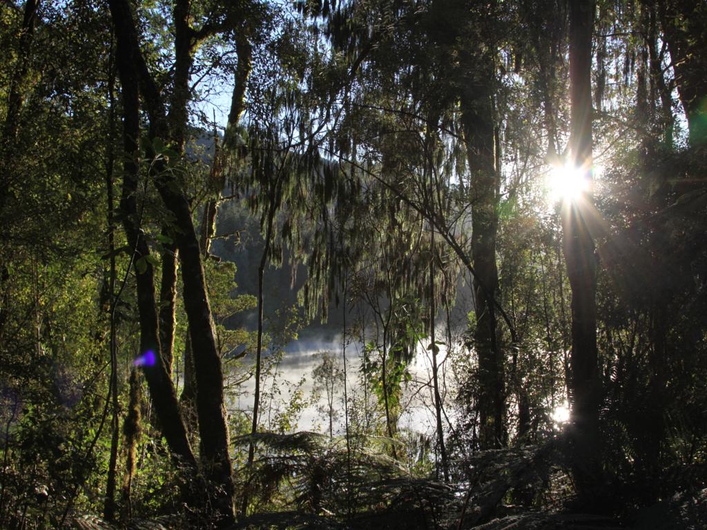 Morgenstimmung am Lake Matheson (Neuseeland)