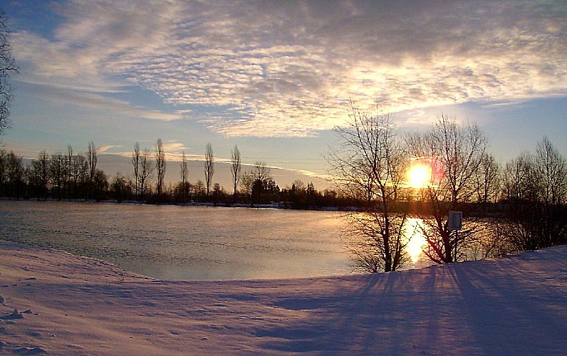 Morgenstimmung am Langerringer See