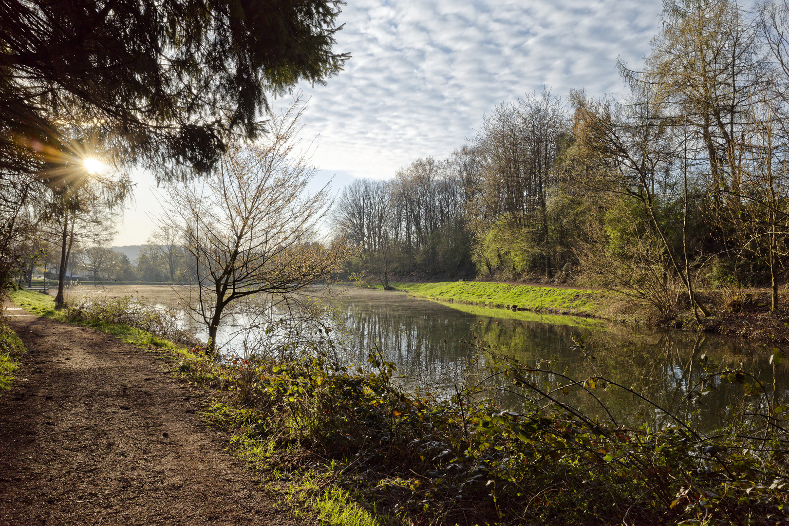 Morgenstimmung am Lasbachweiher