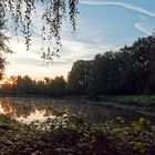 Morgenstimmung am Lasbachweiher