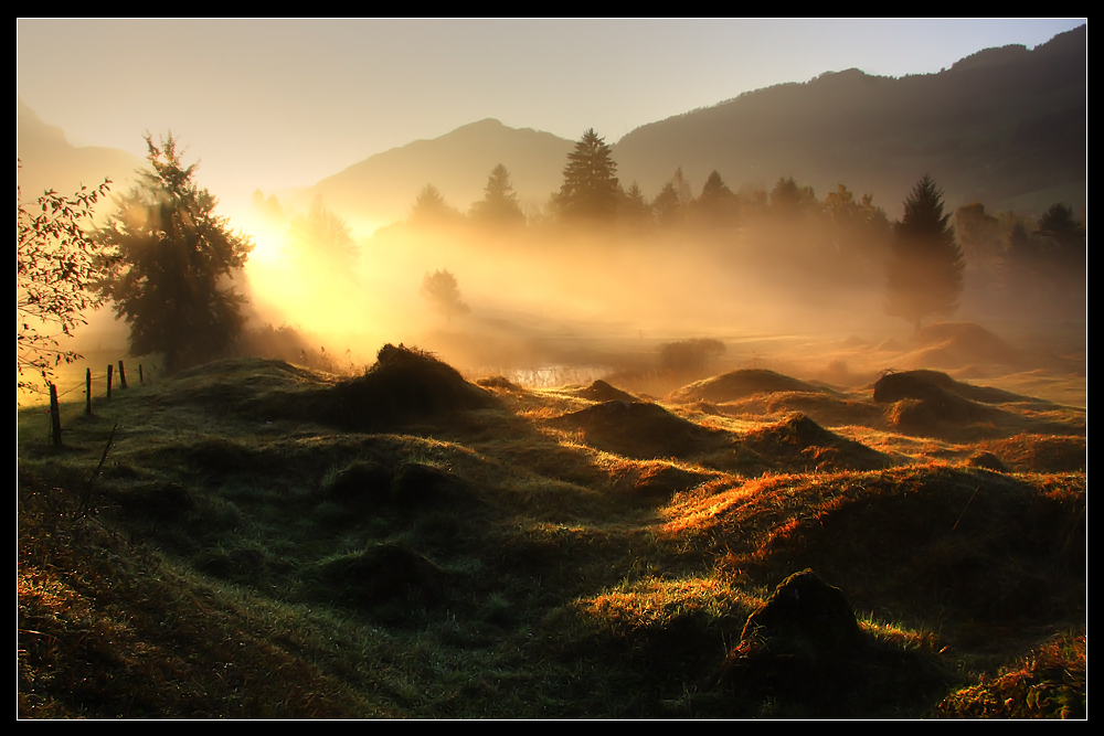 Morgenstimmung am Lauerzersee