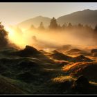 Morgenstimmung am Lauerzersee