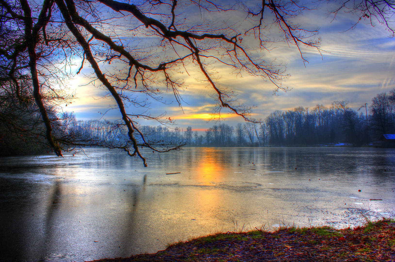 Morgenstimmung am Lengweiler Weiher