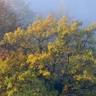 Morgenstimmung am letzten Oktobersonntag