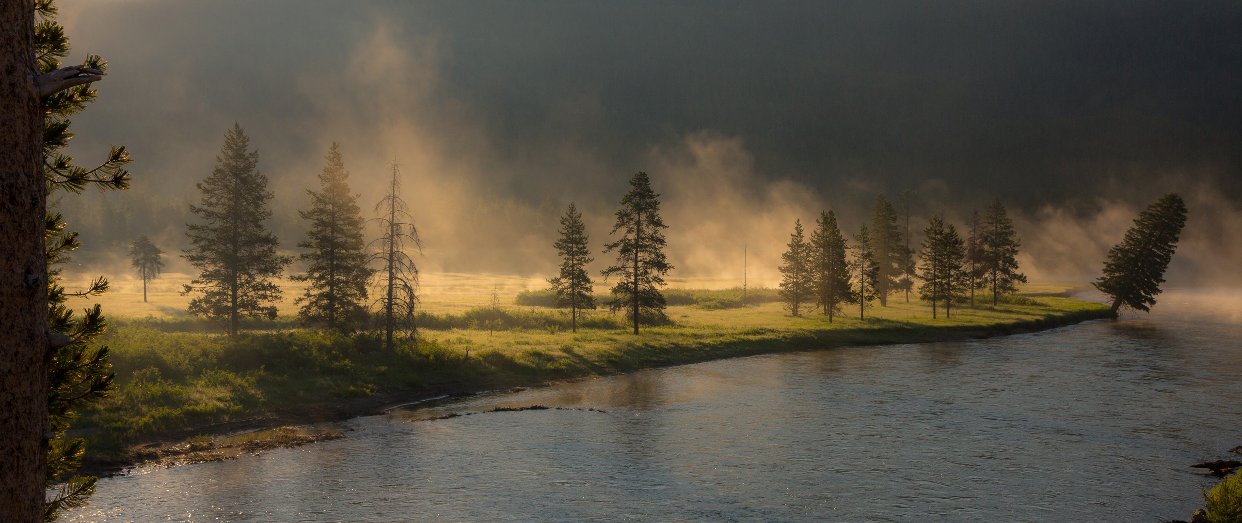 Morgenstimmung am Lewis River / Yellowstone