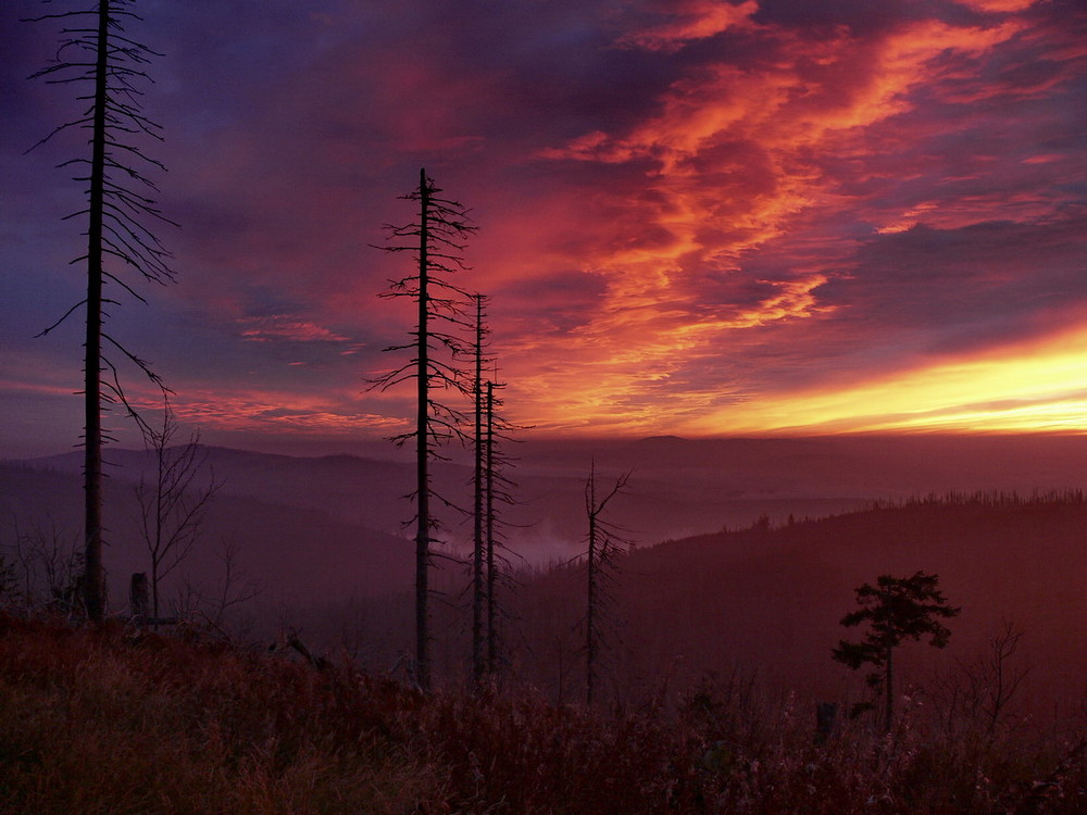 Morgenstimmung am Lusengipfel, Nationalpark Bayerischer Wald