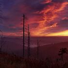 Morgenstimmung am Lusengipfel, Nationalpark Bayerischer Wald