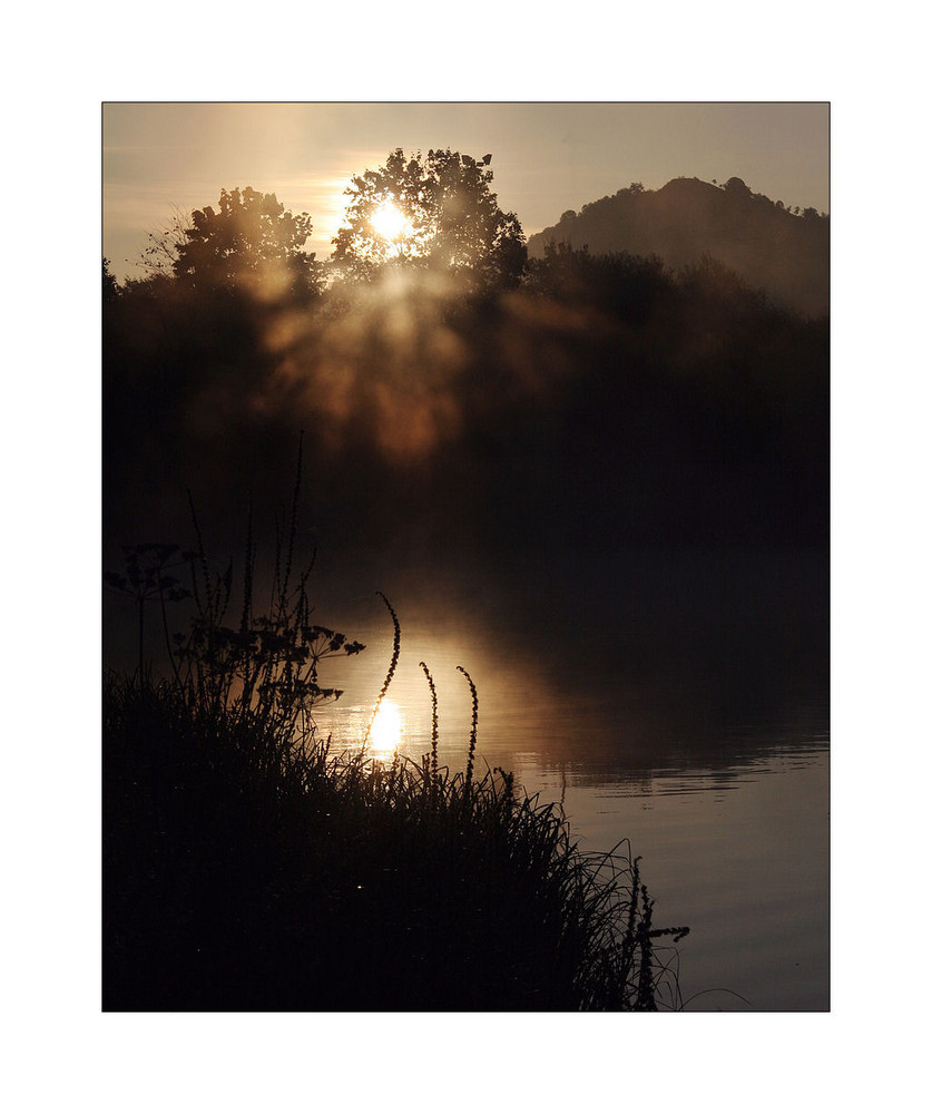 Morgenstimmung am Markwasen