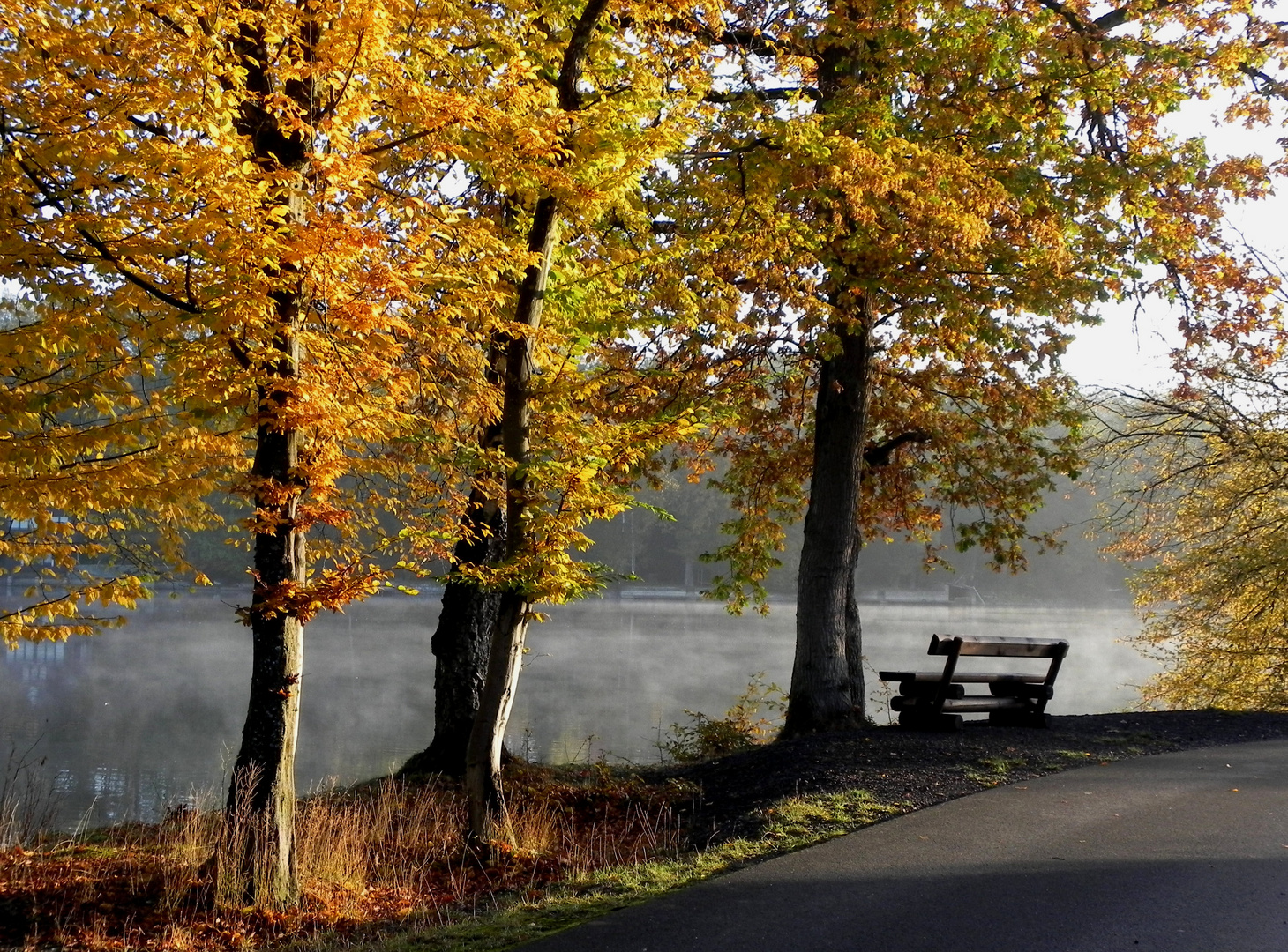 Morgenstimmung am Möhnesee