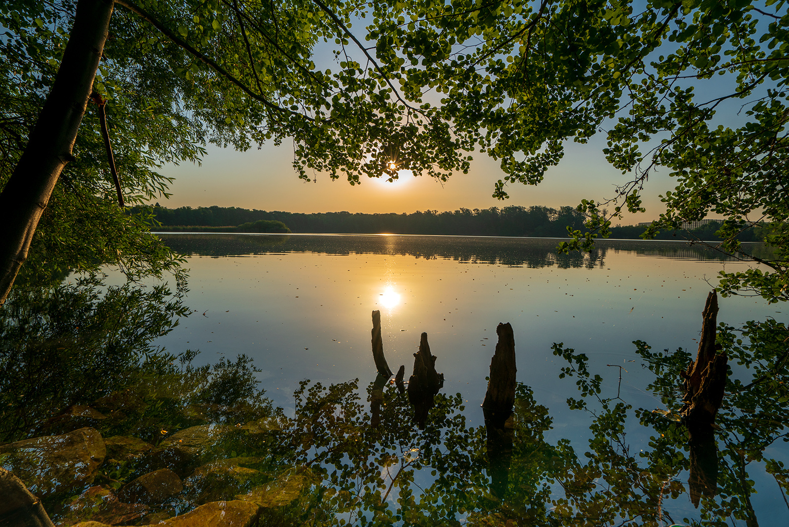 Morgenstimmung am Mönchhofsee