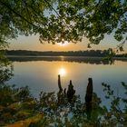 Morgenstimmung am Mönchhofsee