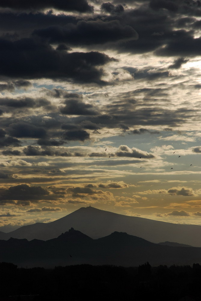 Morgenstimmung am Mont Ventoux (Provence)