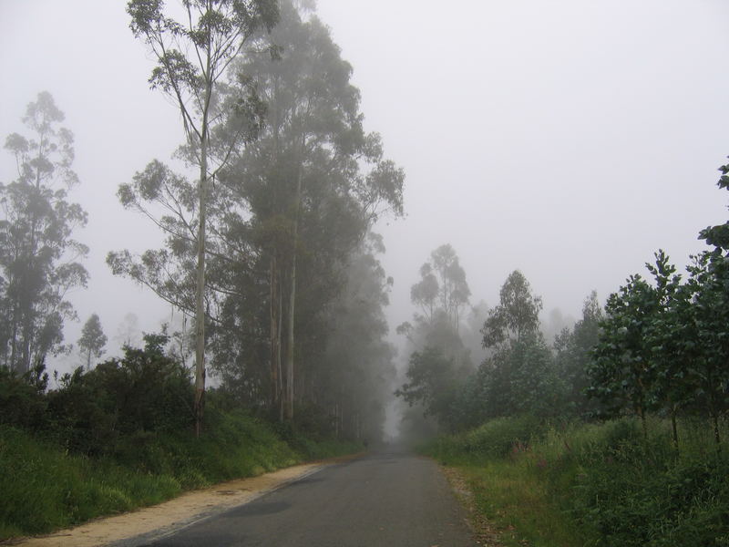 Morgenstimmung am Monte Gozo, Santiga de Compostela