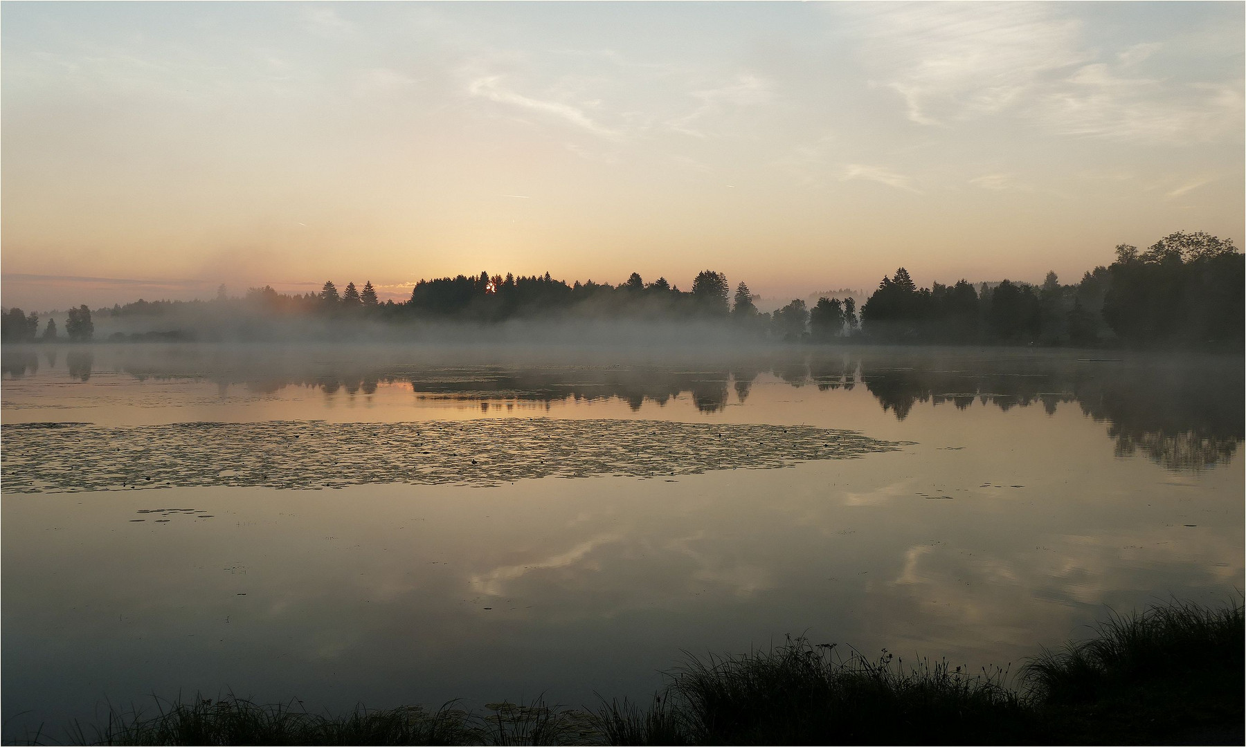 Morgenstimmung am Moorsee