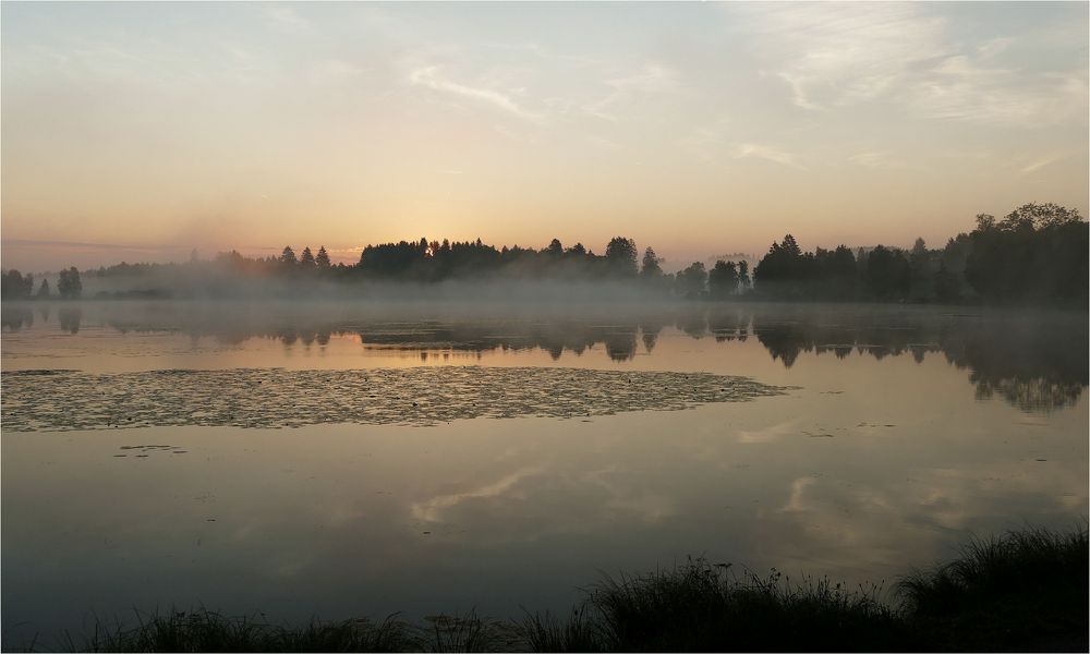 Morgenstimmung am Moorsee