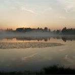 Morgenstimmung am Moorsee