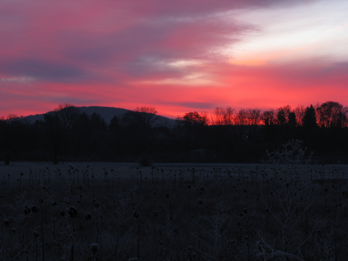 Morgenstimmung am Moritzberg