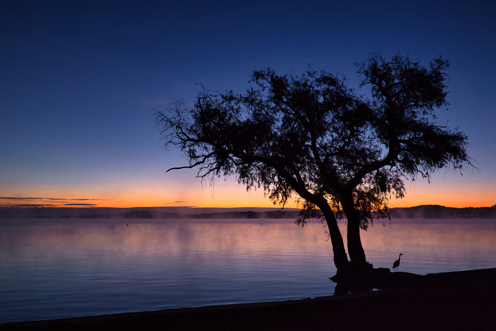 Morgenstimmung am Murtensee