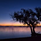 Morgenstimmung am Murtensee