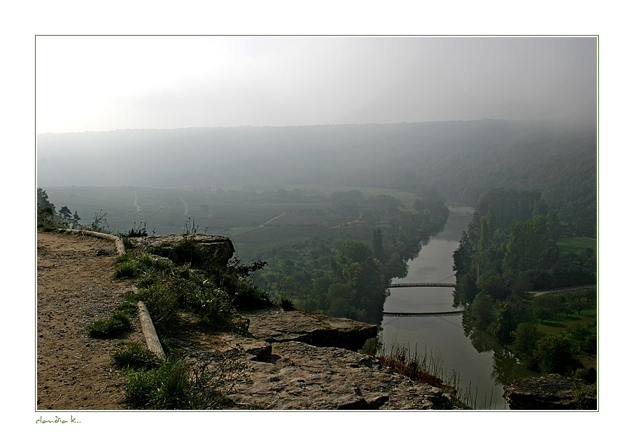 Morgenstimmung am Neckar