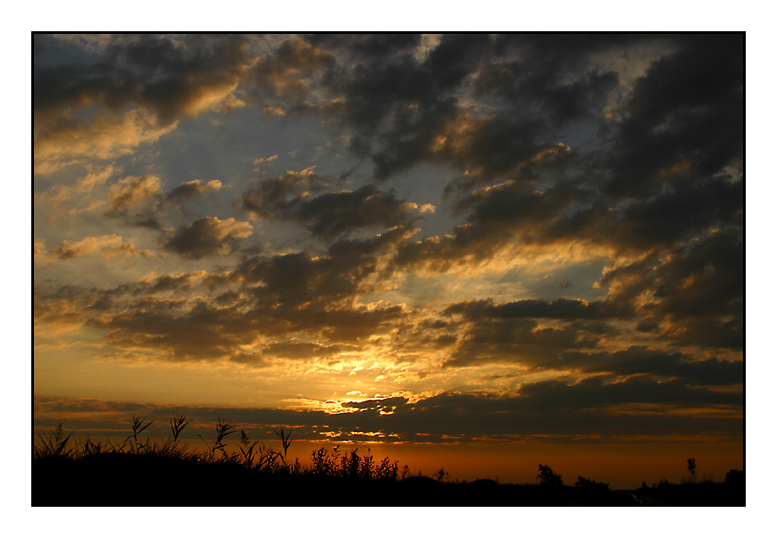 Morgenstimmung am Neusiedler See