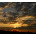 Morgenstimmung am Neusiedler See