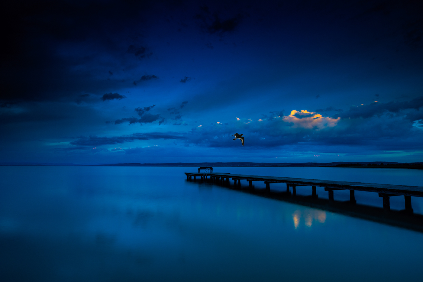 Morgenstimmung am Neusiedlersee