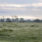 Morgenstimmung am Niederrhein