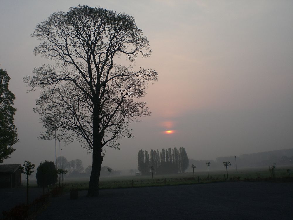 Morgenstimmung am Niederrhein von rone47 