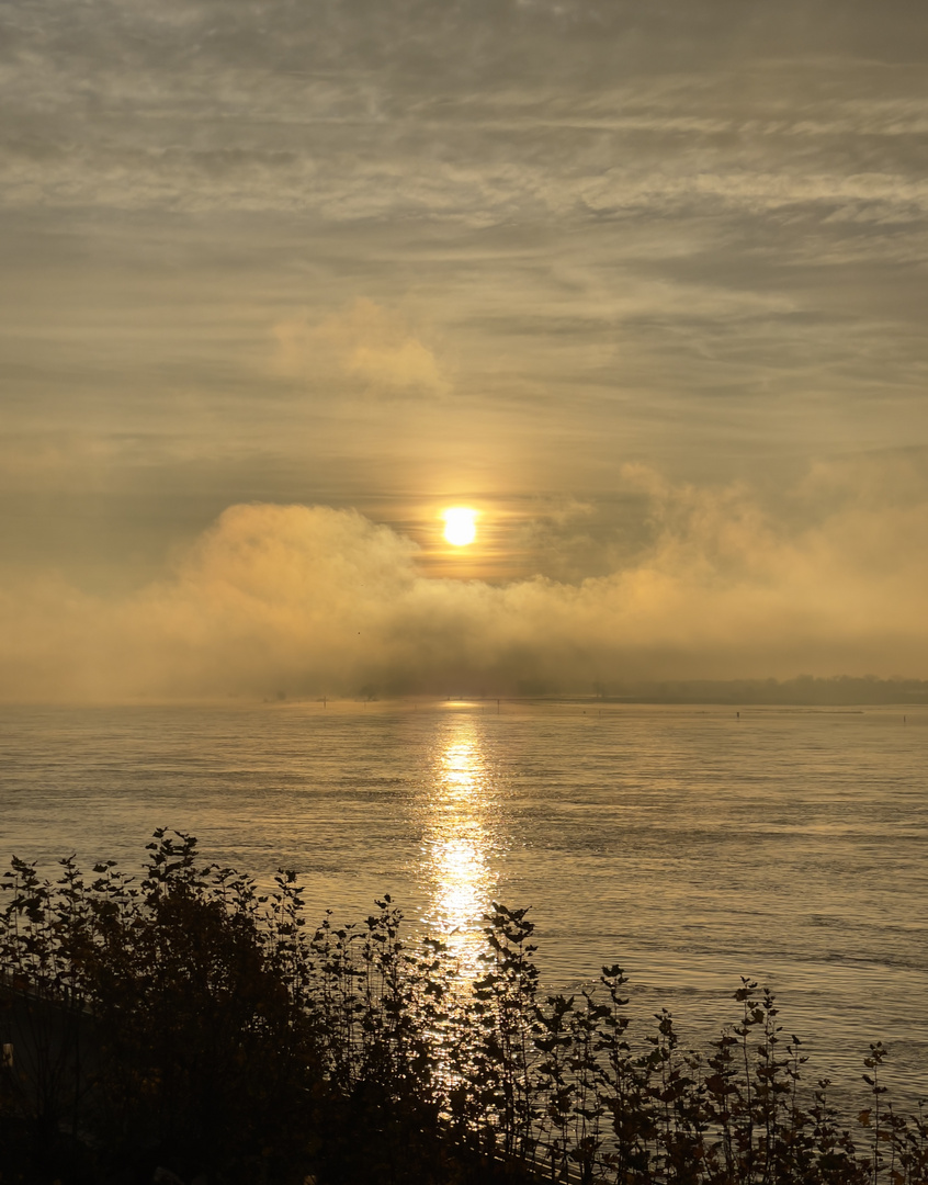 Morgenstimmung am Niederrhein bei Emmerich 