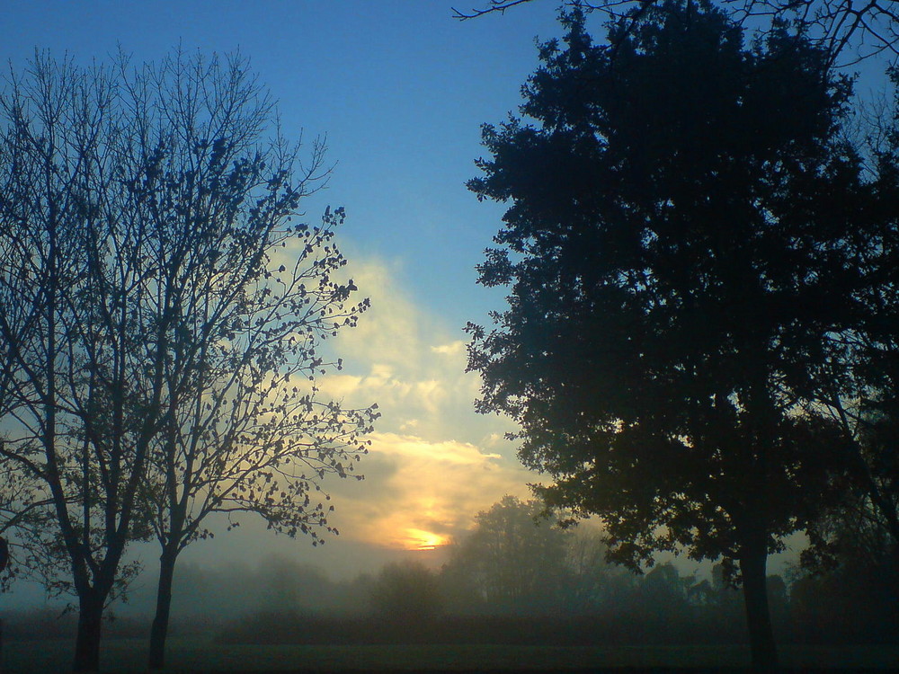 Morgenstimmung am Niederrhein...