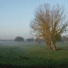 Morgenstimmung am Niederrhein