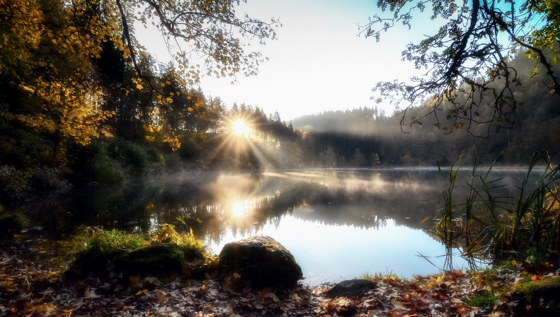 Morgenstimmung am Nonnenmattweiher