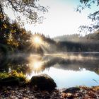 Morgenstimmung am Nonnenmattweiher