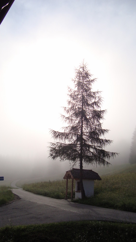 Morgenstimmung am Obersalzberg von Birgit Lieb 