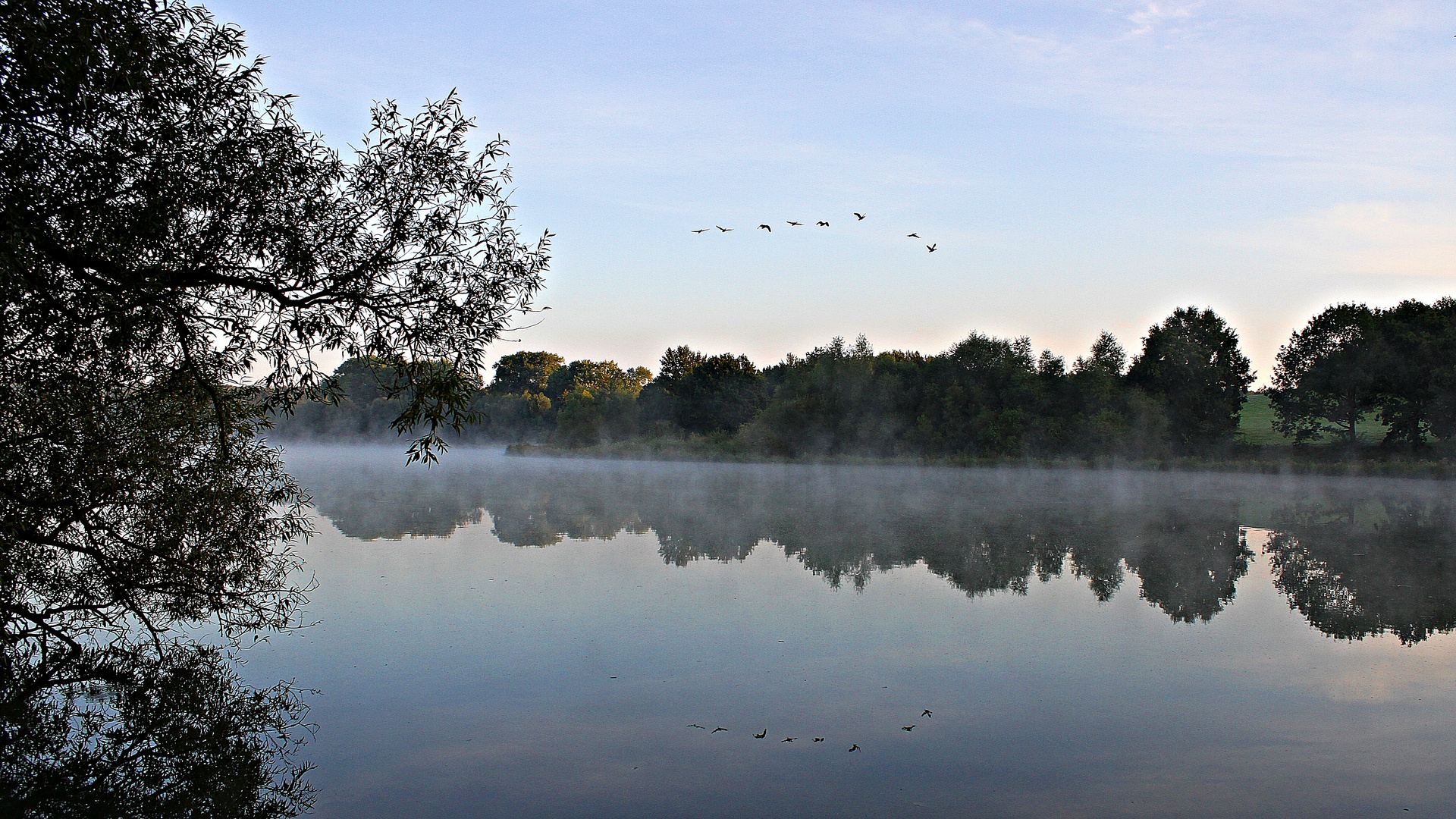 Morgenstimmung am Obersee