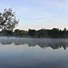 Morgenstimmung am Obersee