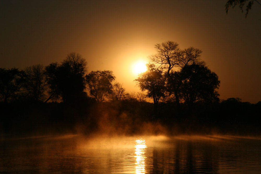 Morgenstimmung am Okavango