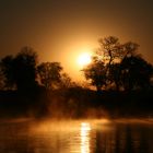 Morgenstimmung am Okavango