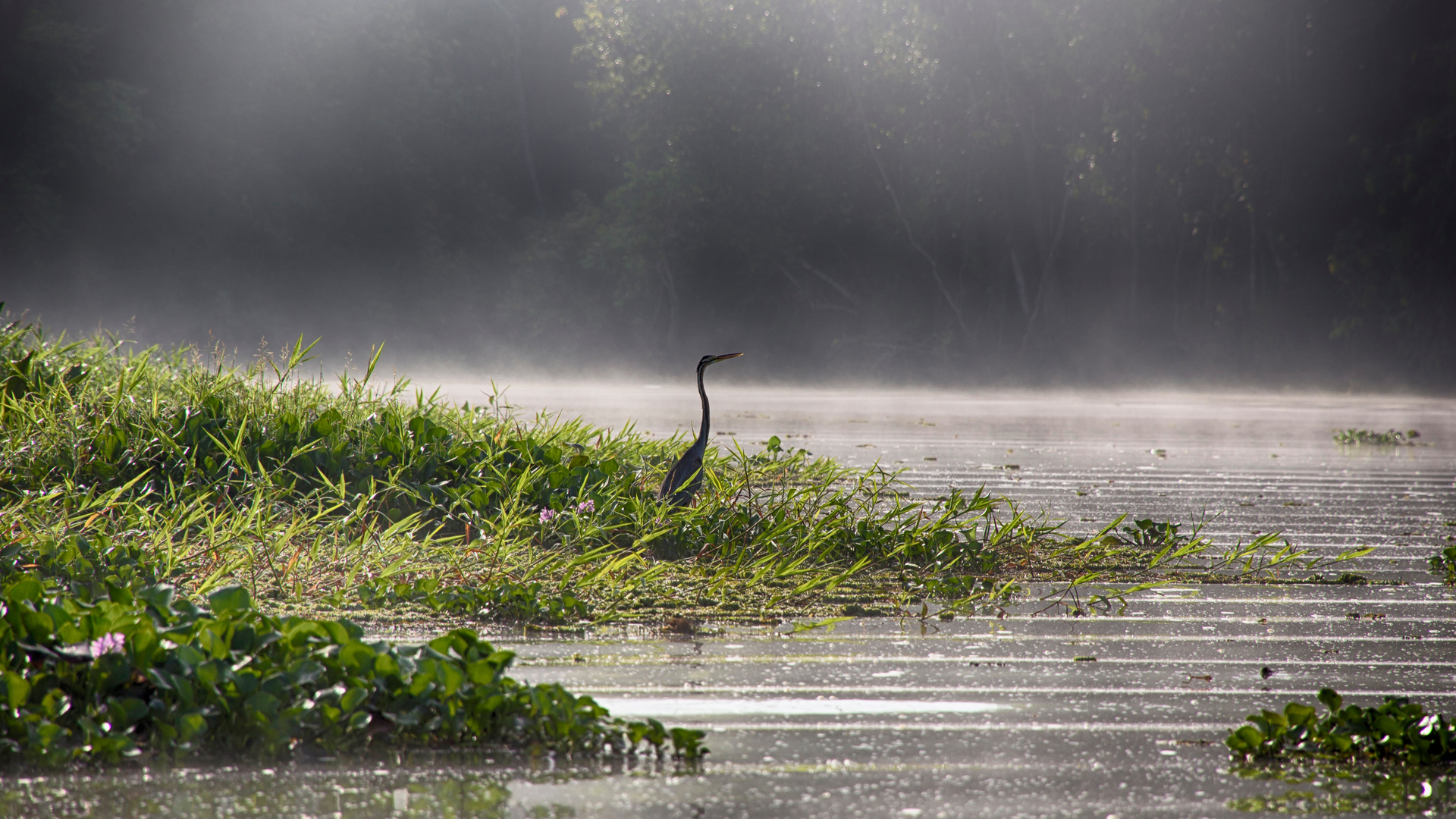 Morgenstimmung am Pitas Lake