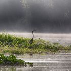 Morgenstimmung am Pitas Lake