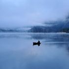 Morgenstimmung am Plansee