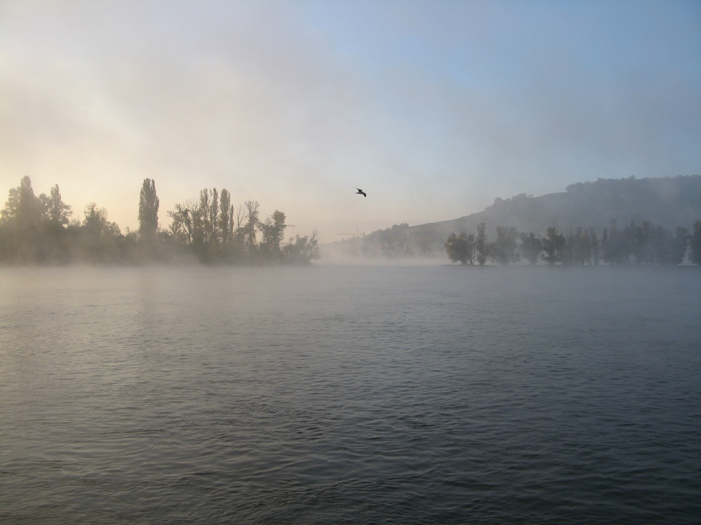 Morgenstimmung am Rhein