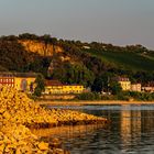 Morgenstimmung am Rhein