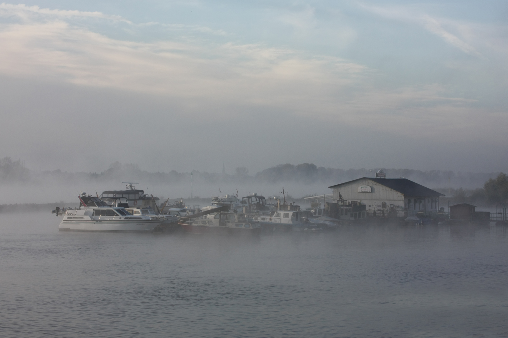 Morgenstimmung am Rhein