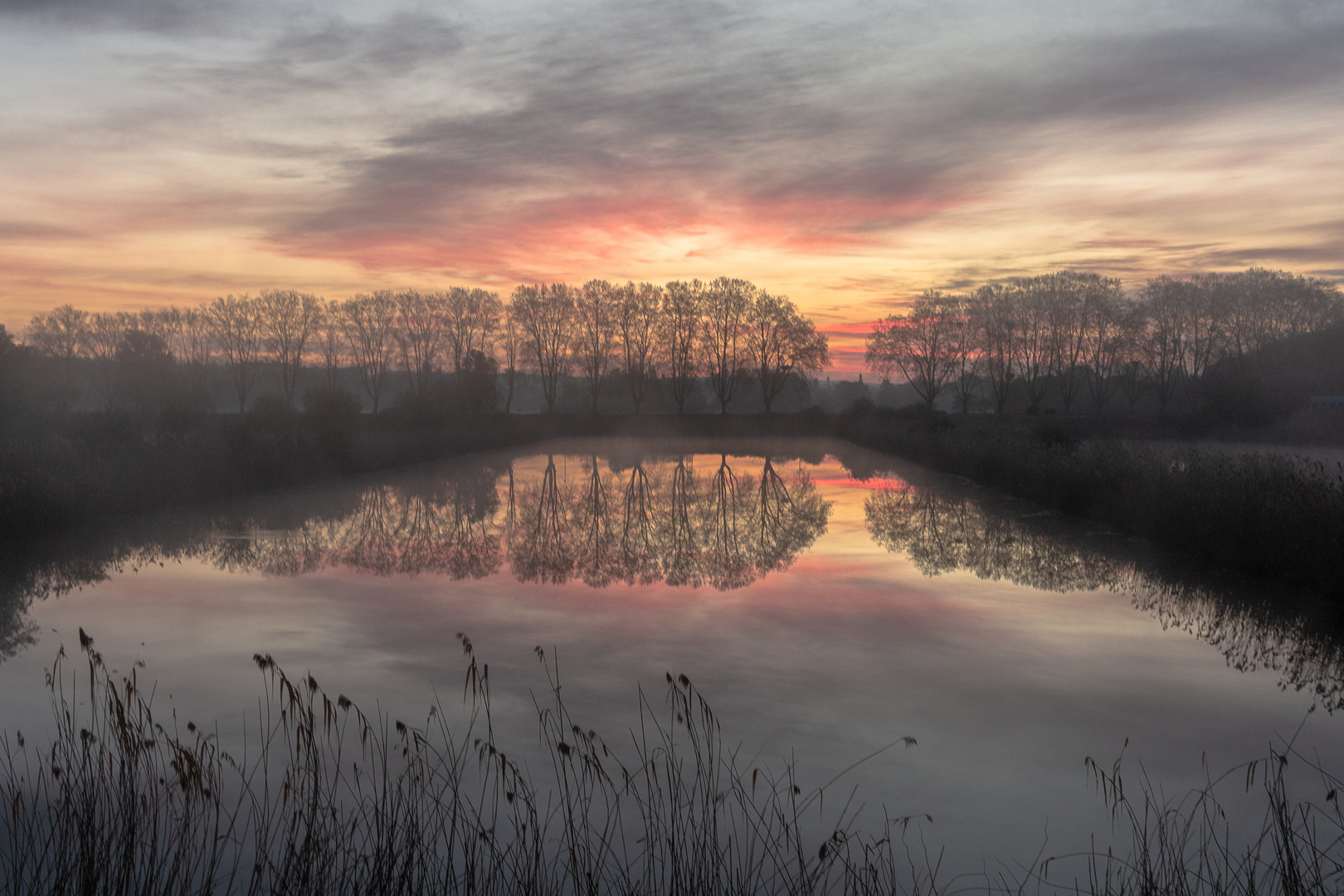 Morgenstimmung am Rhein bei Walluf