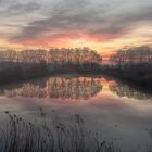 Morgenstimmung am Rhein bei Walluf