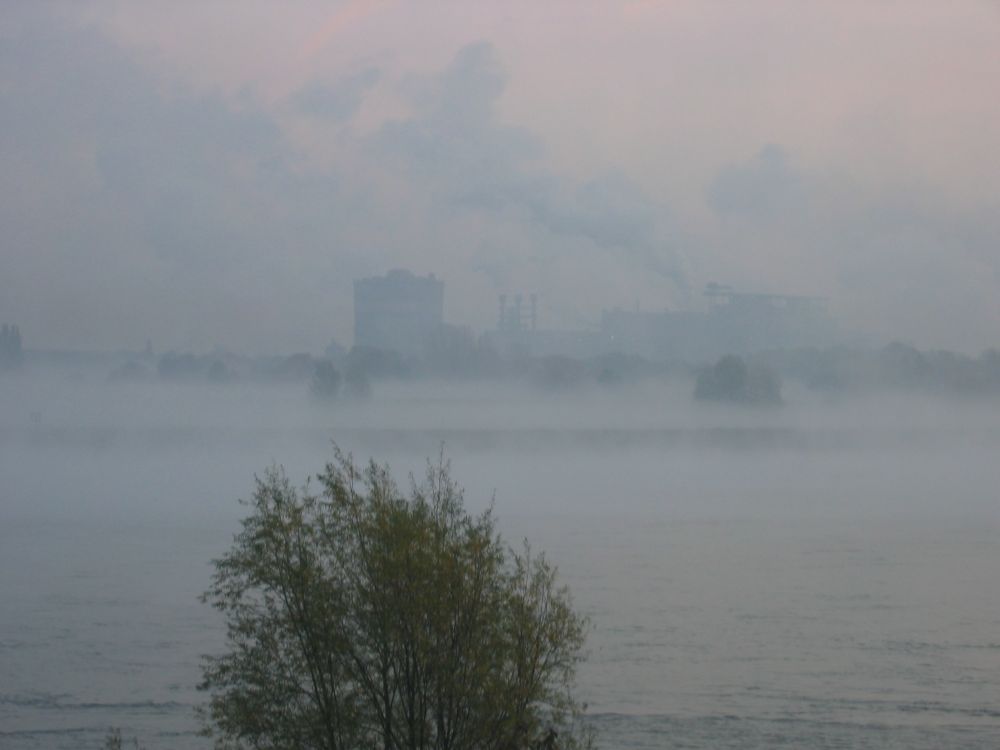 Morgenstimmung am Rhein