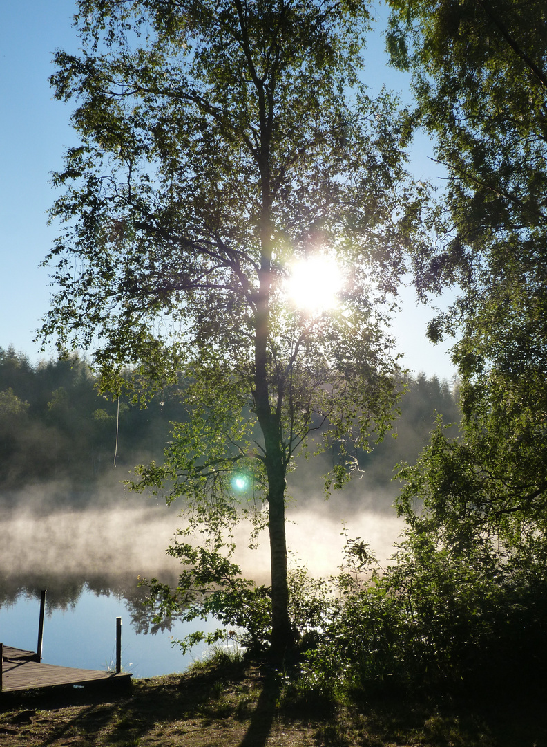 Morgenstimmung am Ronneby 1