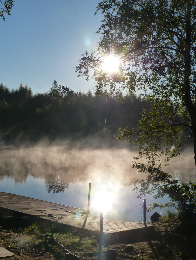 Morgenstimmung am Ronneby 2